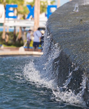 Water Features and Natural Stone