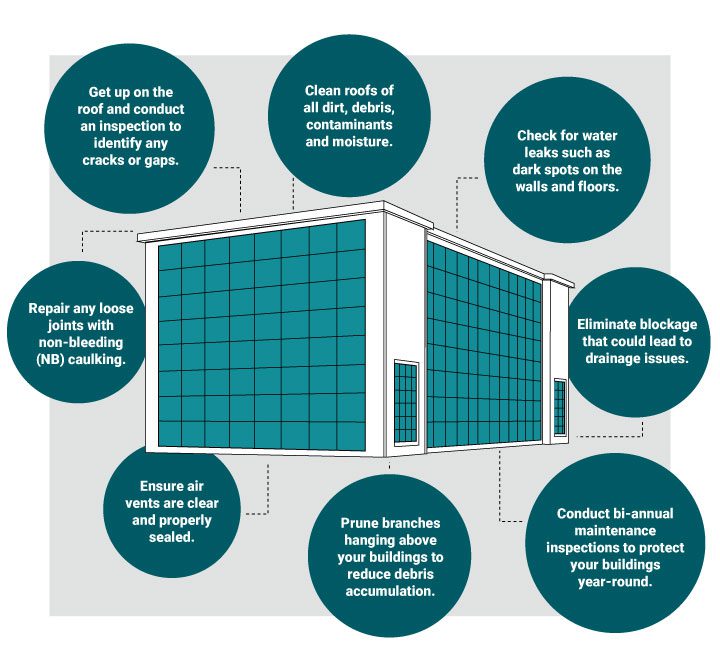 Spring Maintenance Tips